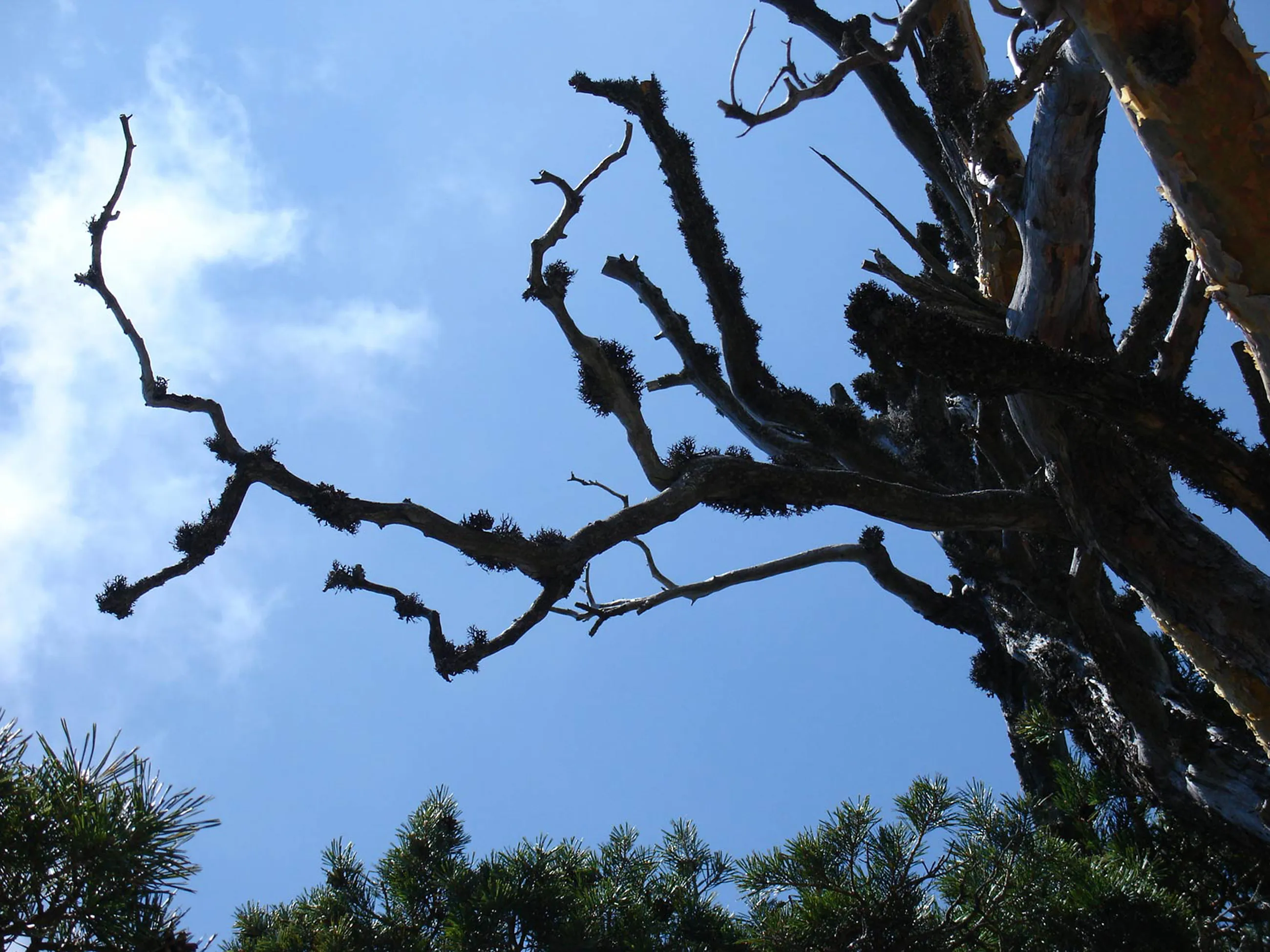 Proyecto en colaboración