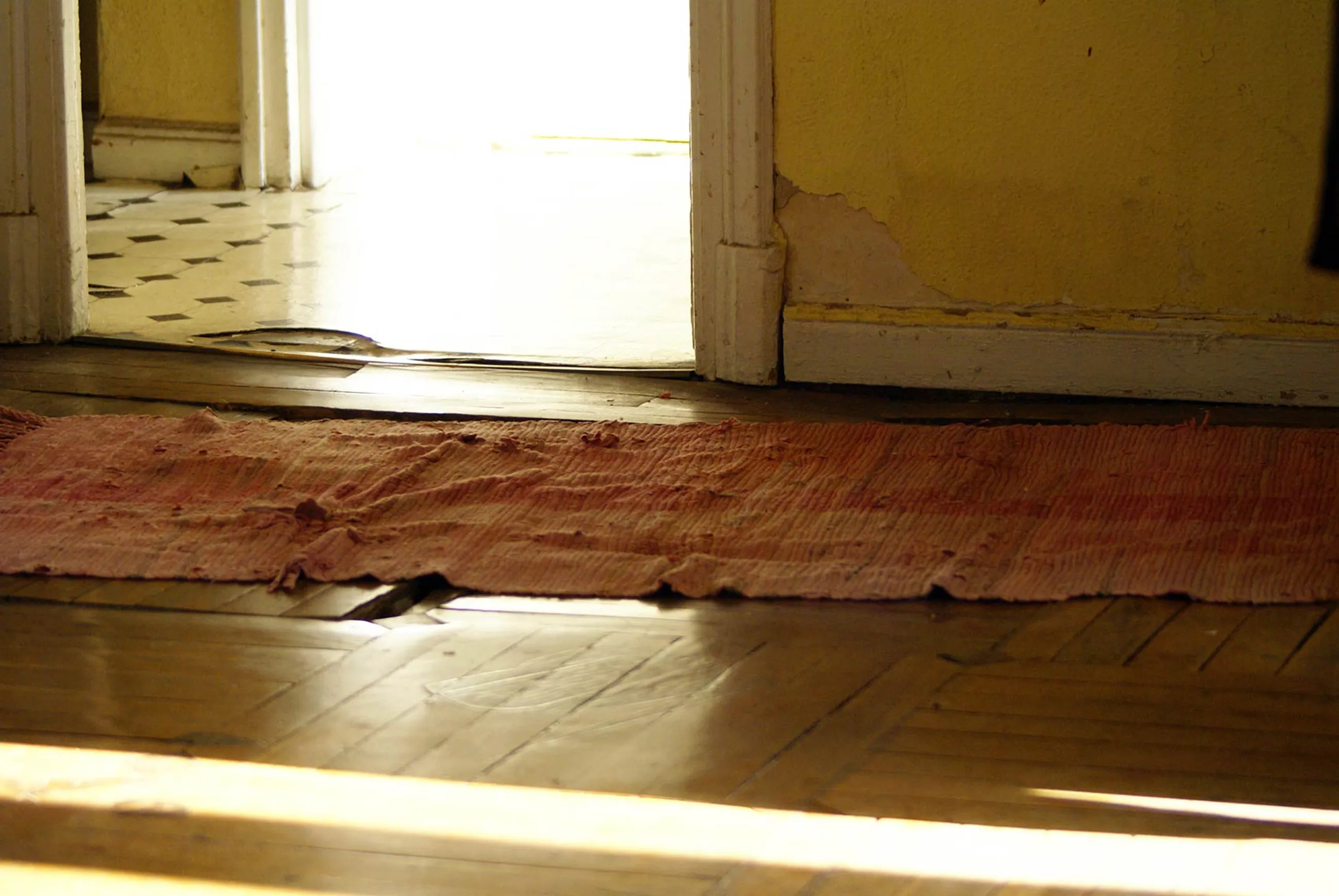 Proyecto en colaboración