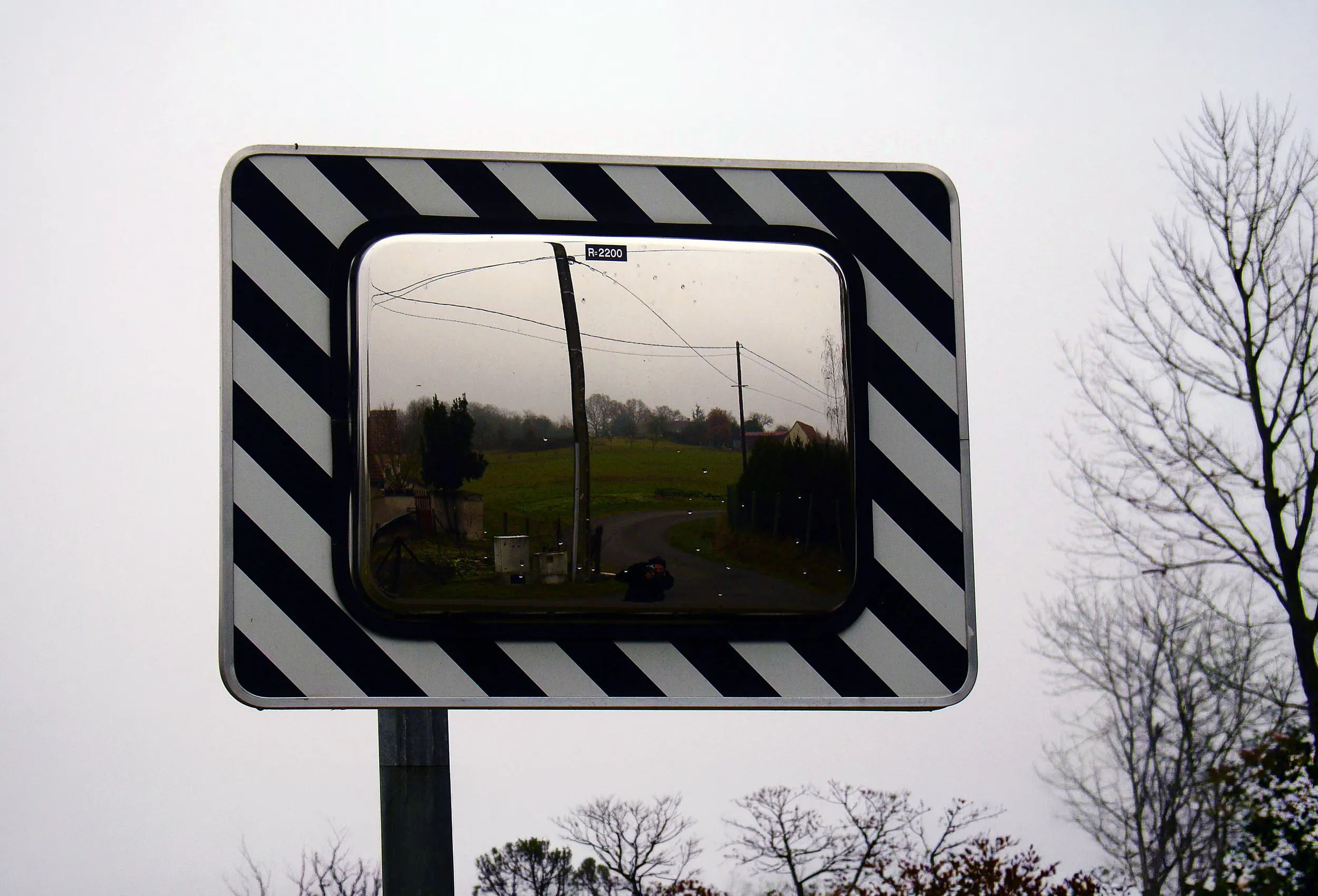 Proyecto en colaboración